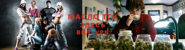 дмт Вяземский