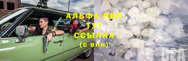 стаф Горняк
