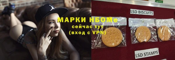 дмт Вяземский