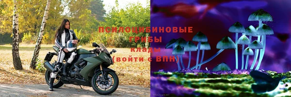 дмт Вяземский