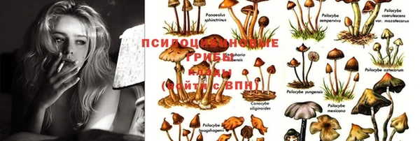 COCAINE Вязники