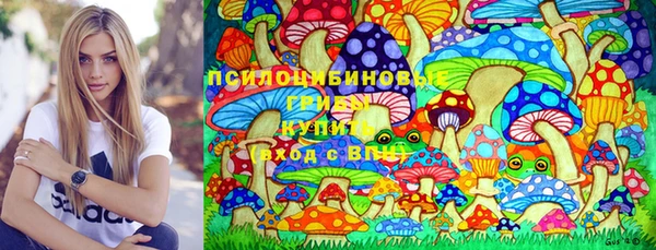 дмт Вяземский