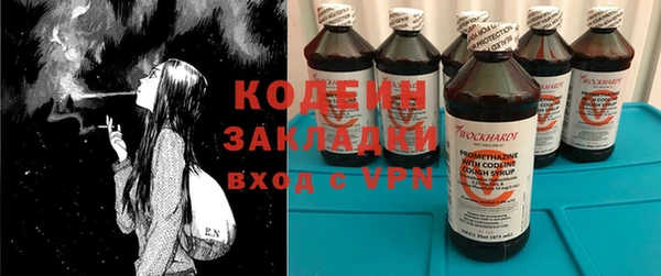 дмт Вяземский