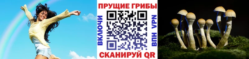 Купить где  Любань  Псилоцибиновые грибы мухоморы 